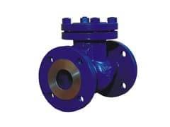 Check valves and closures 